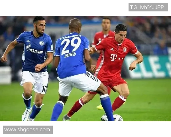 2017年拜仁慕尼黑与沙尔克04精彩对决回顾与分析 2017年拜仁慕尼黑与沙尔克04精彩对决回顾与分析