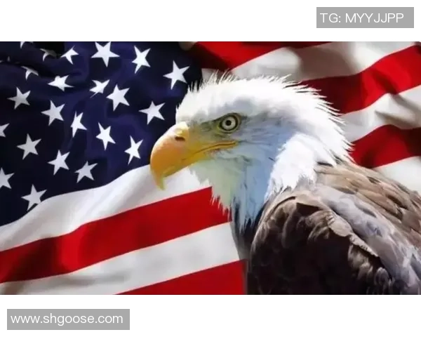 亚马尔地区的地缘政治变迁与能源战略的深远影响分析 亚马尔地区的地缘政治变迁与能源战略的深远影响分析