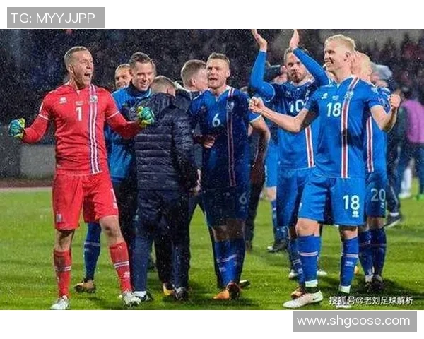 冰岛与乌克兰足球历史交锋回顾与分析之战绩与精彩瞬间