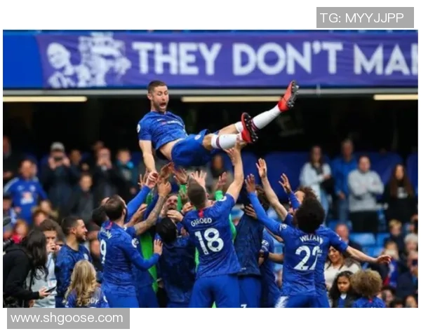 切尔西对阵西布朗直播信息及赛前分析全攻略