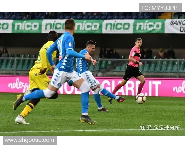 巴西国际与帕梅拉斯2019年精彩对决回顾与分析