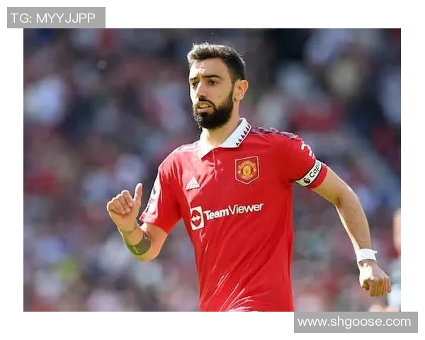 布鲁诺费尔南德斯的足球之路与辉煌成就探讨