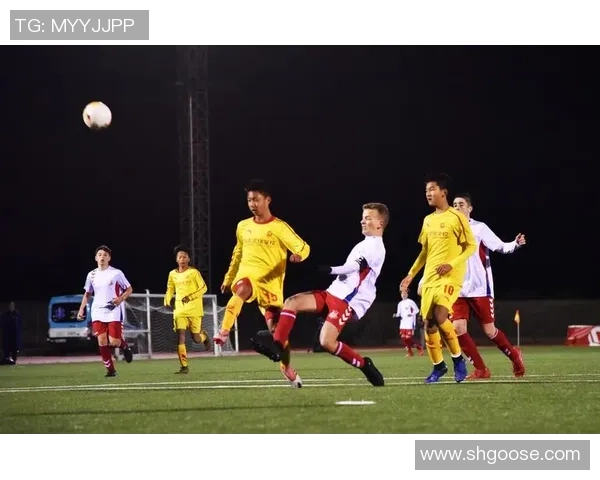 恒大与香港足球队精彩对决重播回顾赛场瞬间与精彩进球分析 恒大与香港足球队精彩对决重播回顾赛场瞬间与精彩进球分析