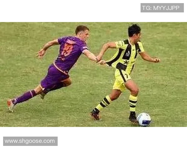 悉尼与中央海的精彩对决直播全程回顾与分析 悉尼与中央海的精彩对决直播全程回顾与分析