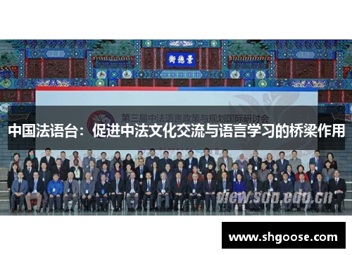 中国法语台：促进中法文化交流与语言学习的桥梁作用