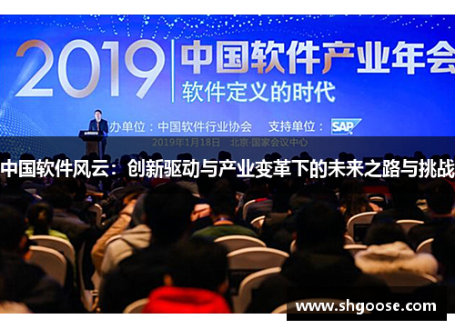 中国软件风云：创新驱动与产业变革下的未来之路与挑战