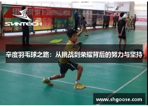 辛度羽毛球之路：从挑战到荣耀背后的努力与坚持