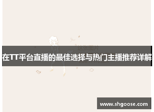 在TT平台直播的最佳选择与热门主播推荐详解