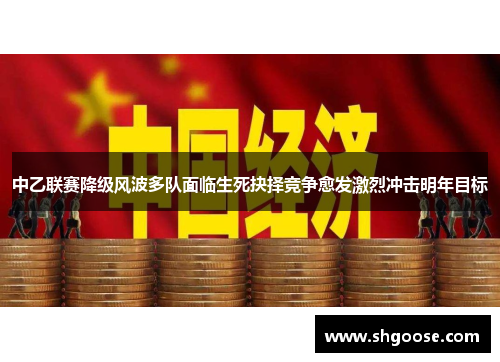 中乙联赛降级风波多队面临生死抉择竞争愈发激烈冲击明年目标