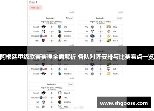 阿根廷甲级联赛赛程全面解析 各队对阵安排与比赛看点一览