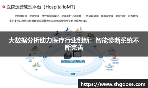 大数据分析助力医疗行业创新：智能诊断系统不断完善
