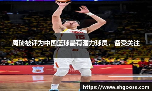 BD半岛最新地址