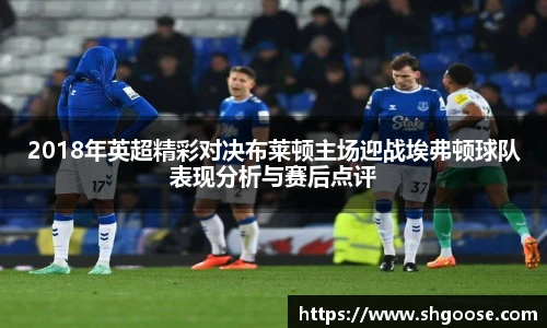 2018年英超精彩对决布莱顿主场迎战埃弗顿球队表现分析与赛后点评
