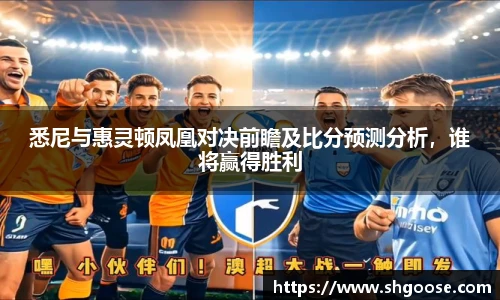 悉尼与惠灵顿凤凰对决前瞻及比分预测分析，谁将赢得胜利