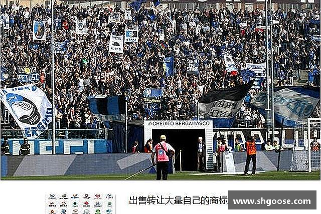 关于BD半岛最新地址